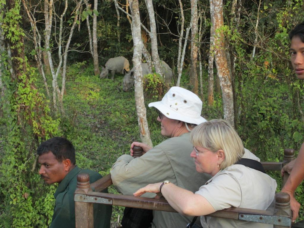 Temple Tiger Green Jungle Resort Kawasoti المظهر الخارجي الصورة