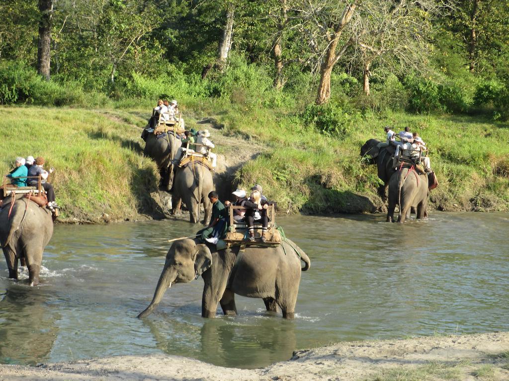 Temple Tiger Green Jungle Resort Kawasoti المظهر الخارجي الصورة