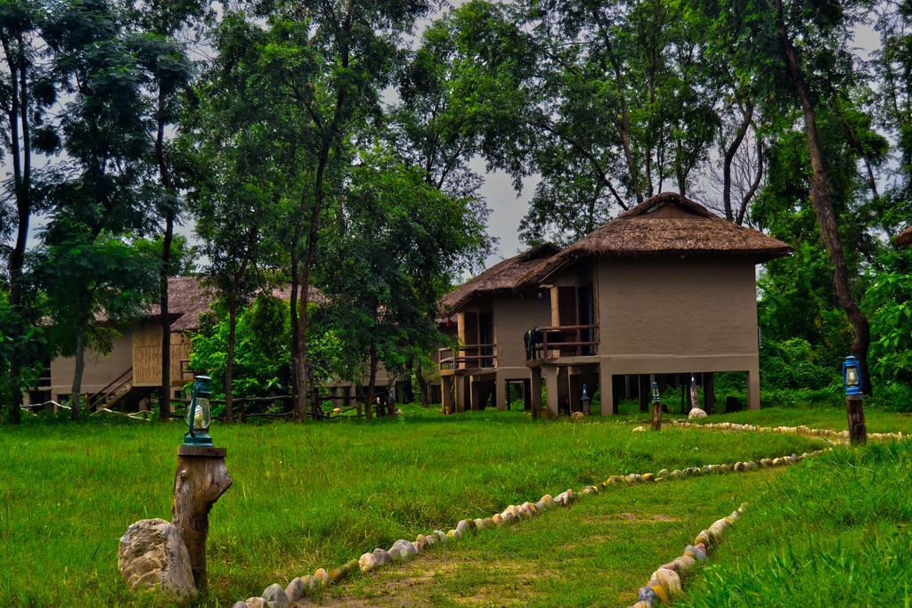 Temple Tiger Green Jungle Resort Kawasoti المظهر الخارجي الصورة